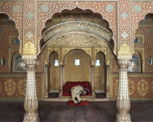India-Song by Karen Knorr lioness - saved by Chic n Cheap Living