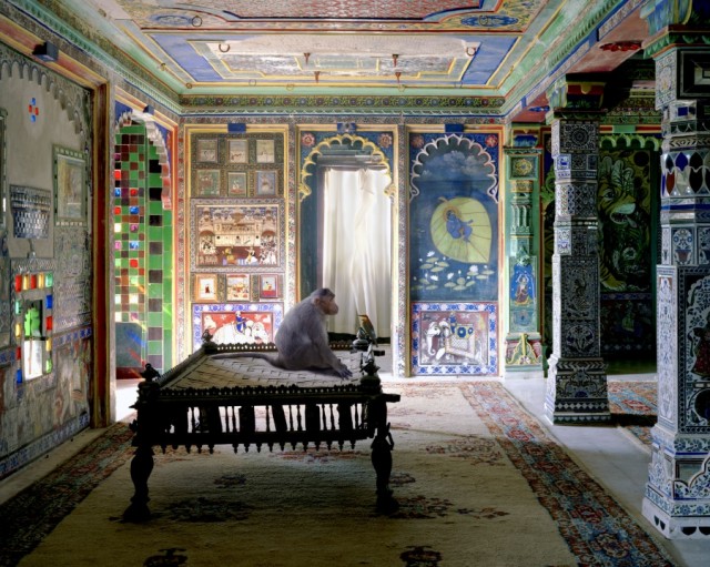India-Song by Karen Knorr monkey - saved by Chic n Cheap Living