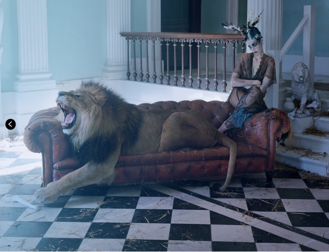 Lion King Edie Campbell Angels dress on couch shot by Tim walker Love no. 10 FW 13 14 - saved by Chic n Cheap Living