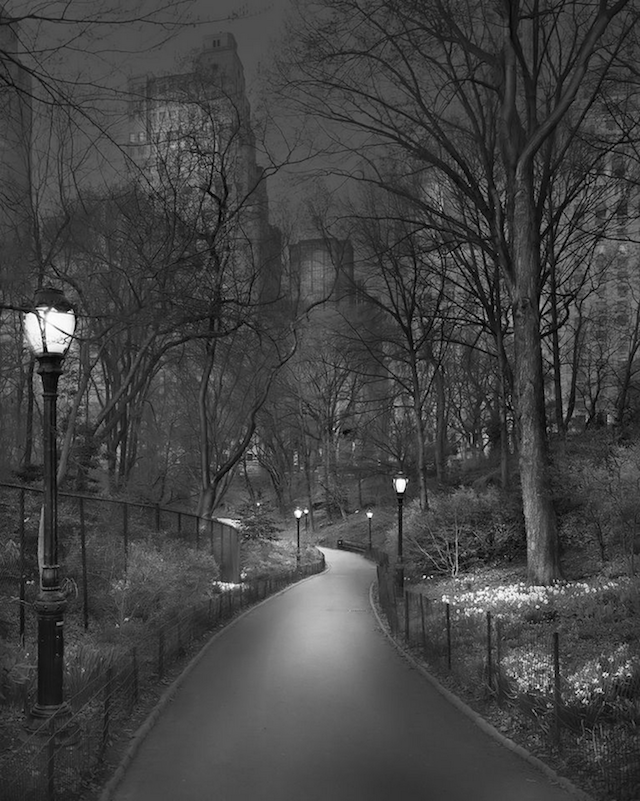 Central Park bridge by Michael Massaia