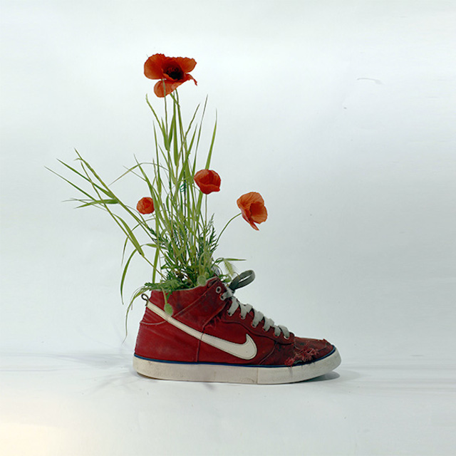 Flowers growing in Nike via Mr. Plant red flowers