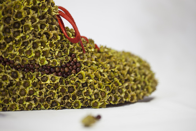 Flowers growing in Nike via Mr. Plant yellow flowers