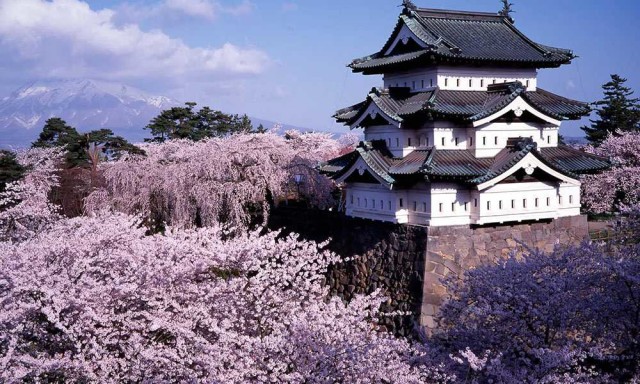 best places to see cherry blossoms hirosaki cherry blossoms japan-magazine.jnto.go.jp