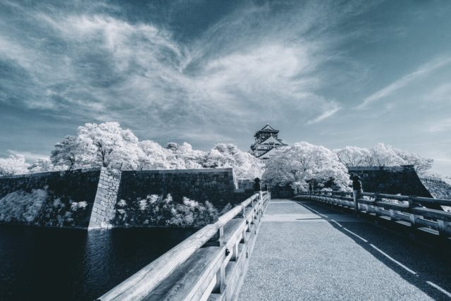 Connor Surdi nature photography japanese castle