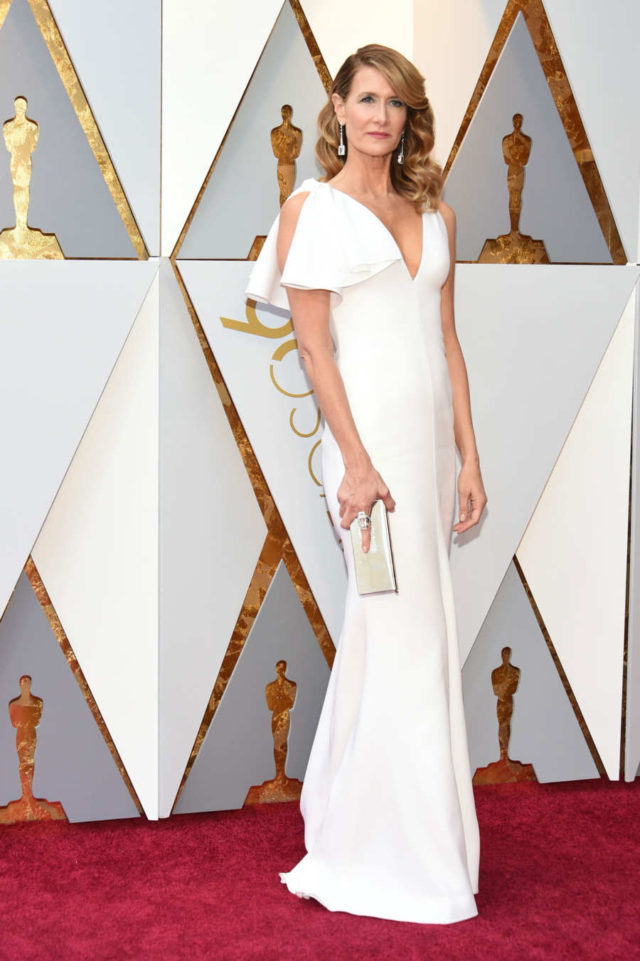 Oscars Best Dressed 2018 - Laura Dern in Calvin Klein Appointment