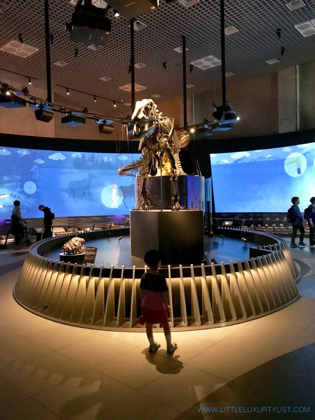 Sites you have to see in Tokyo - National Museum of Nature and Science dinosaur bones