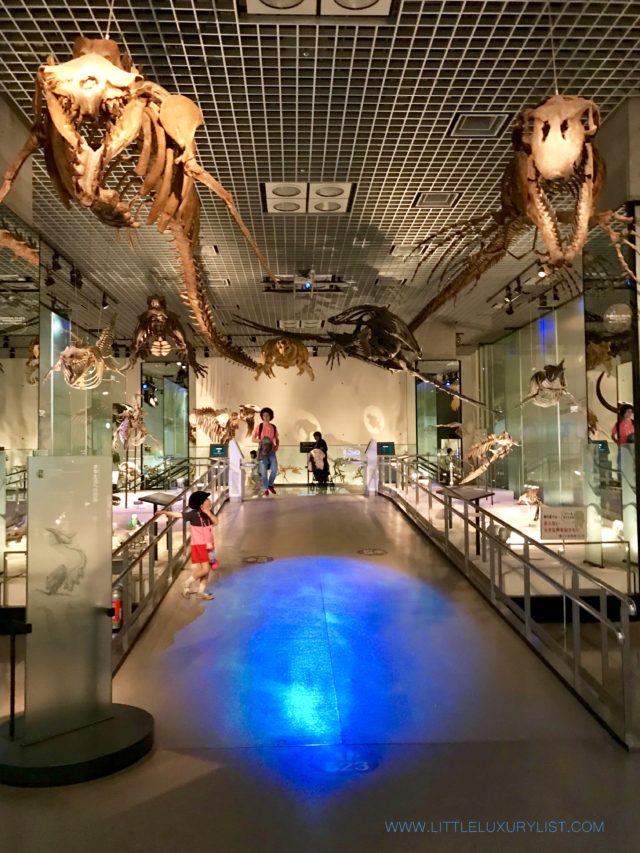 Sites you have to see in Tokyo - National Museum of Nature and Science overhead bones