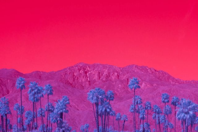 Kate Ballis infrared photography mountain and palm trees