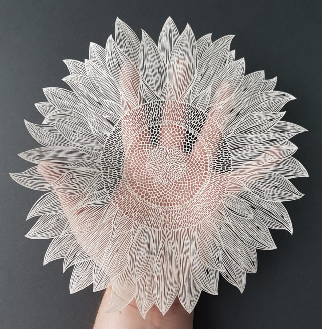 Extraordinary paper cuttings by Pippa Dyrlaga - sunflower