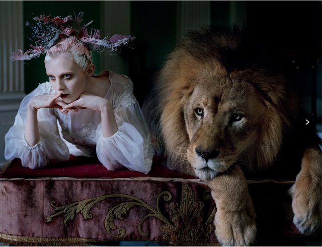 Lion King Karen Elson in Dolce Gabbana Alta Moda on sofa shot by Tim walker Love no. 10 FW 13 14 - saved by Chic n Cheap Living