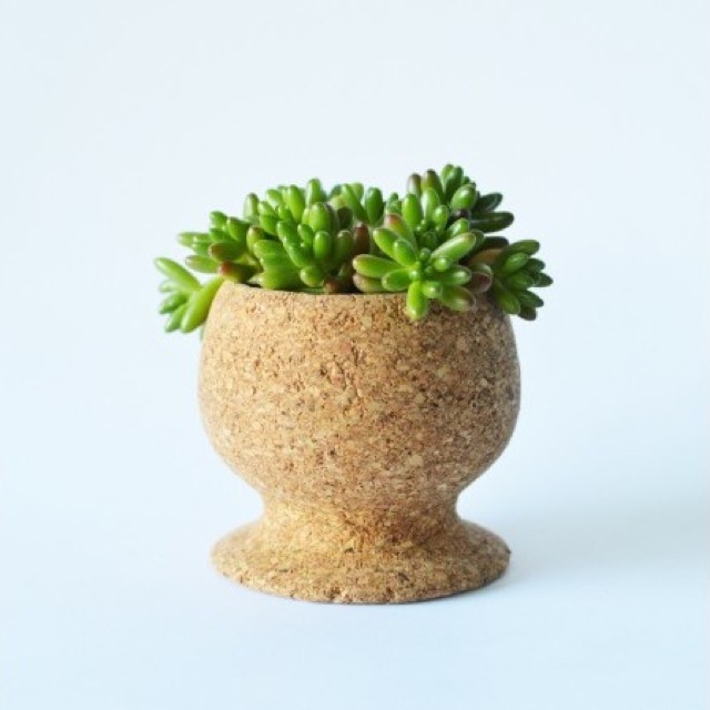 melanie-abrantes-cork-planter-cup-with-plant-brown-brika