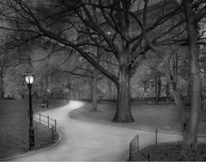 Central Park path by Michael Massaia