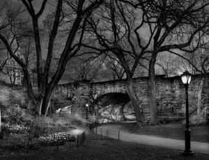 Central Park under bridge by Michael Massaia