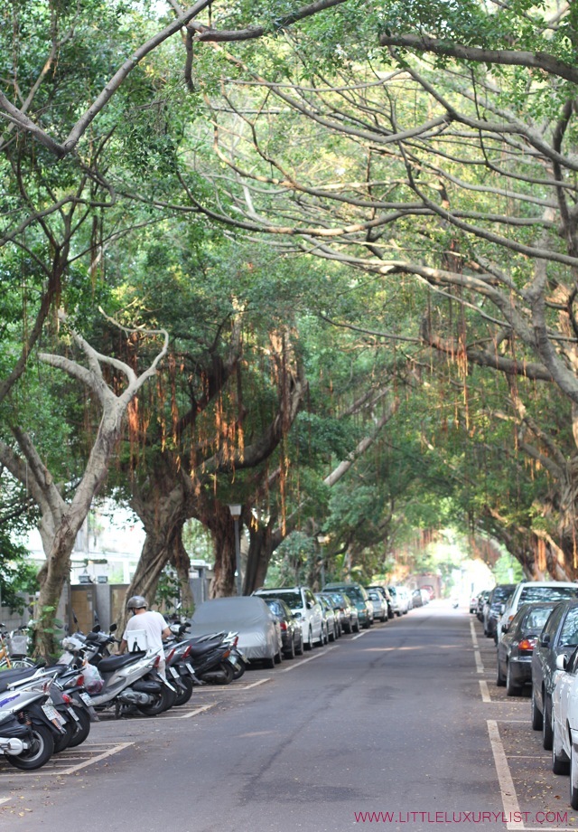 Taipei tree lined street by little luxury list