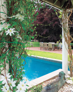 Garden and pool in Elle Decor