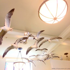 Museum of Natural History seagulls NYC by little luxury list
