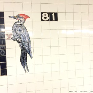 Woodpecker 81st Train station NYC by little luxury list