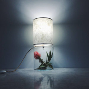 Inventive-Terrarium-Inserted-in-a-Glass-Lamp4-900x900