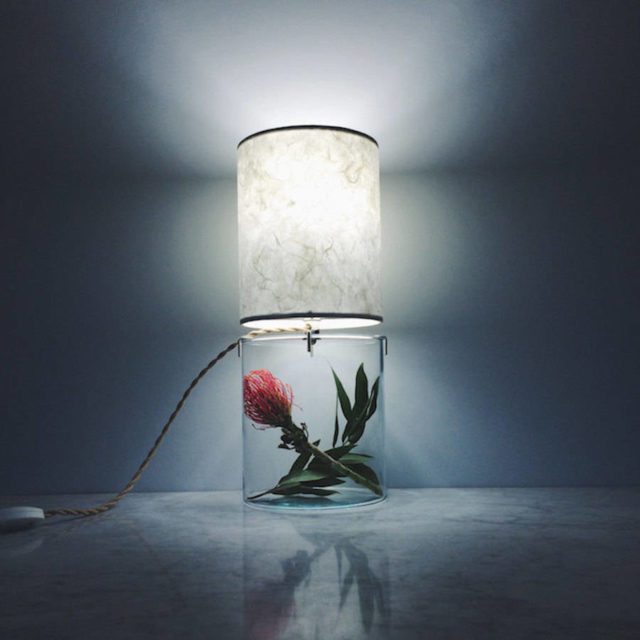 Inventive-Terrarium-Inserted-in-a-Glass-Lamp4-900x900