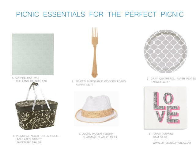 Picnic essentials for the perfect picnic by little luxury list