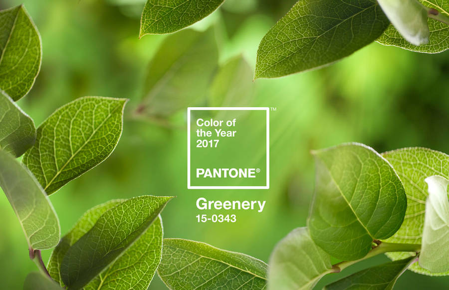 Pantone color of the year - Greenery