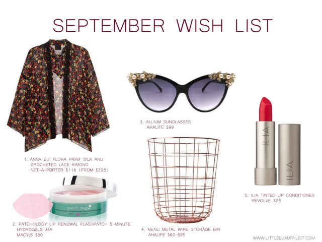 September Wish list by little luxury list